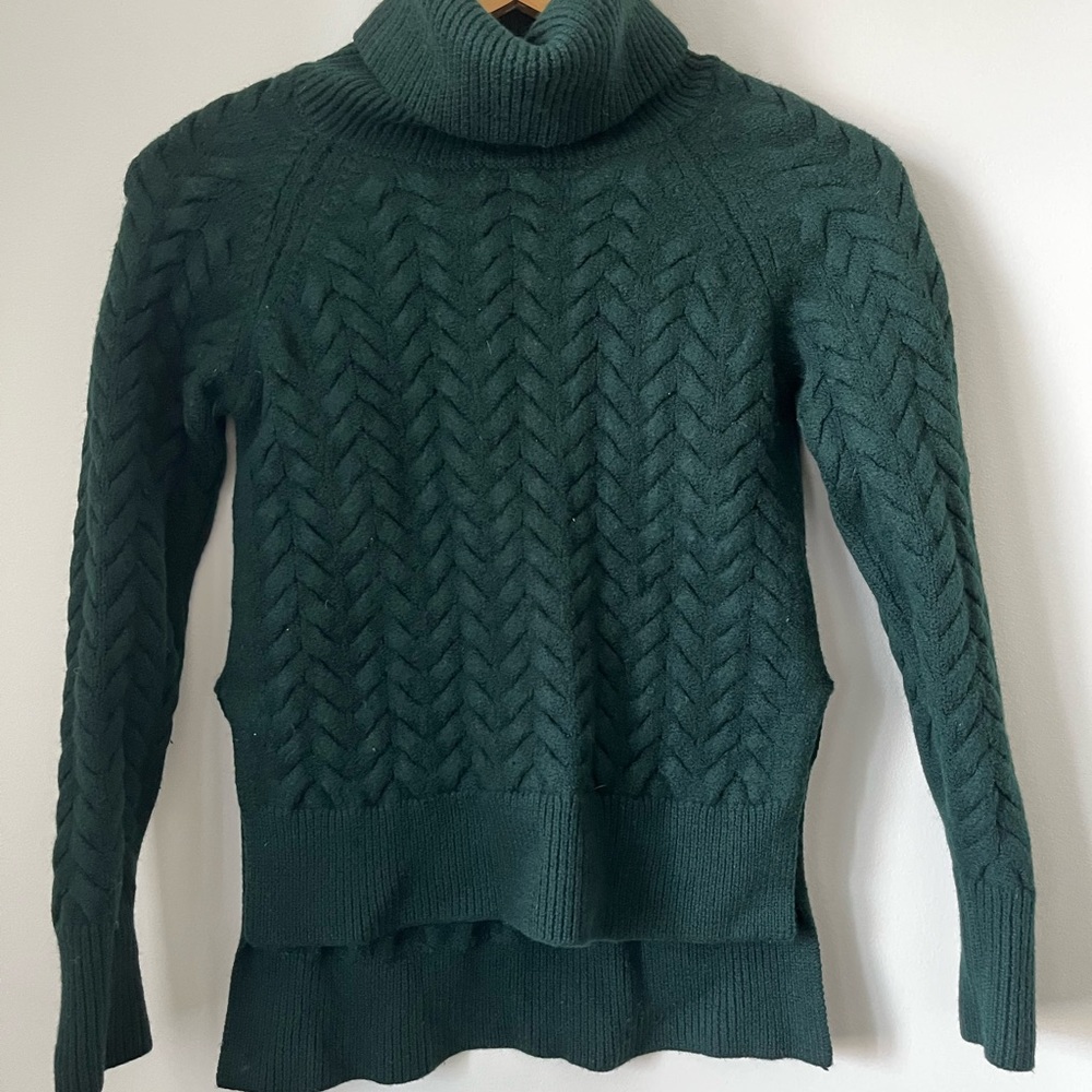 Aritzia Wilfred Wool turtleneck sweater